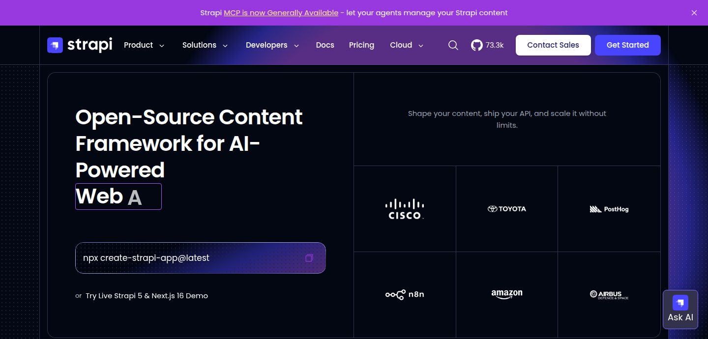 Screenshot of the Strapi website